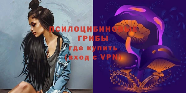 бошки Заволжск